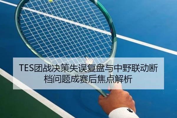 TES团战决策失误复盘与中野联动断档问题成赛后焦点解析